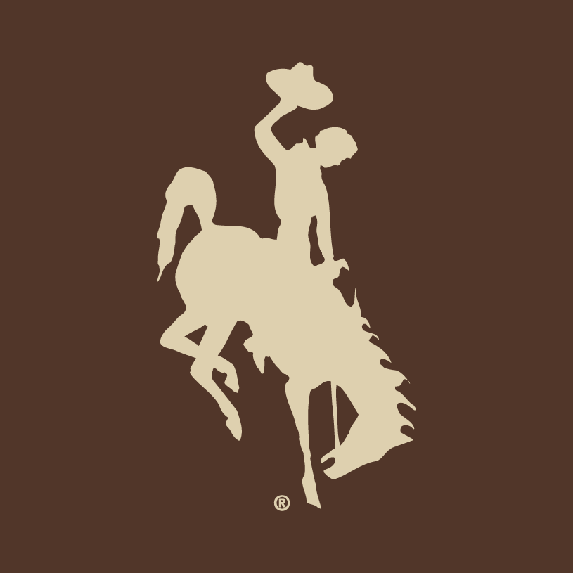 Wyoming Cowboys 2006-2012 Alternate Logo t shirts DIY iron ons v2